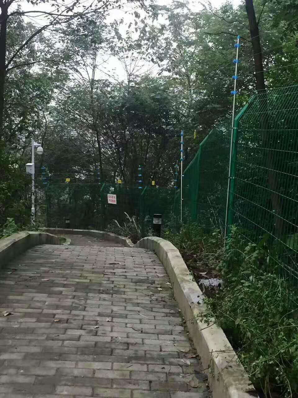 重庆沙坪坝消防支队